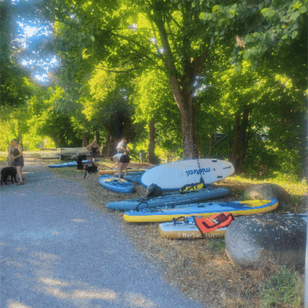 Stand Up Paddling Kurs in Esslingen am Neckar